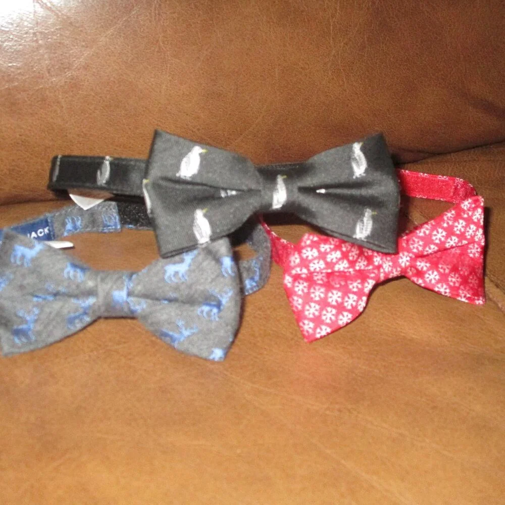 Janie and Jack bow ties - 5